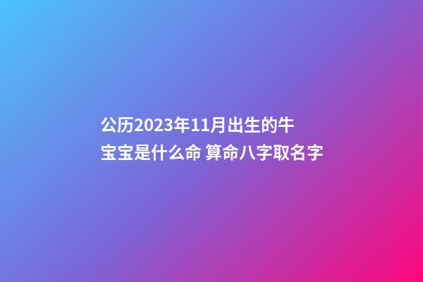 公历2023年11月出生的牛宝宝是什么命 算命八字取名字